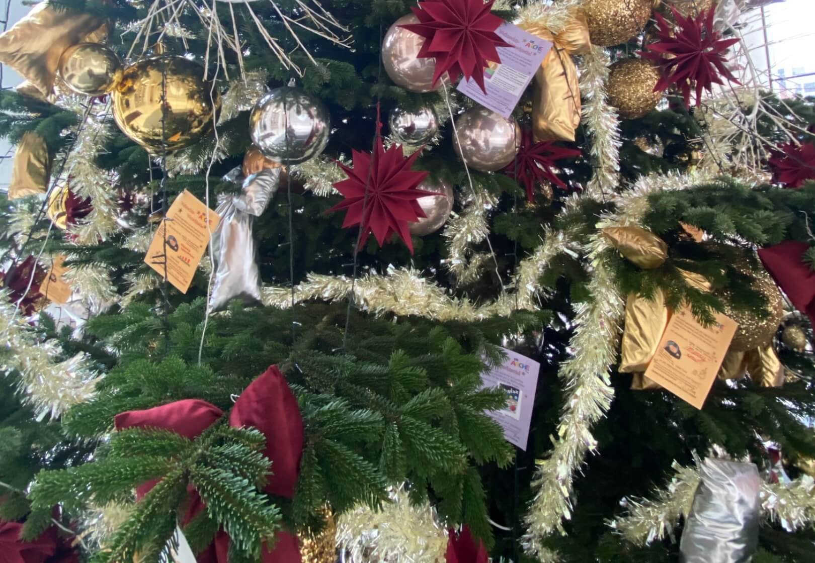 Nahaufnahme des geschmückten Weihnachtsbaumes mit Wunschzetteln.